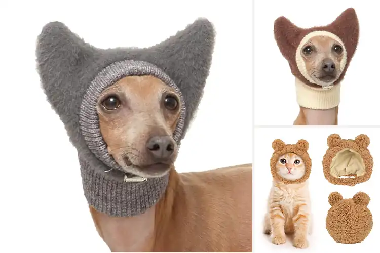 Detailed view of Best Soft Warm Dog Hat: 10 Cozy Picks for Your Furry Friend
