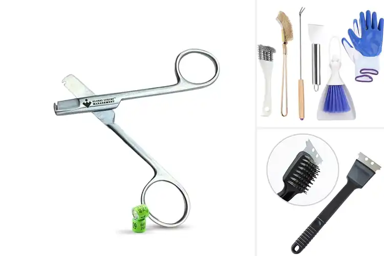 Detailed view of Best Stainless Steel Bird Cage Tools