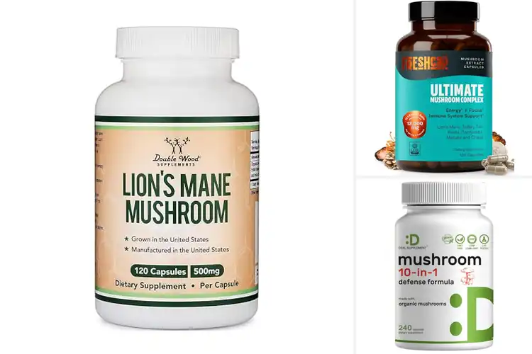 Detailed view of Best Third Party Tested Mushroom Supplement