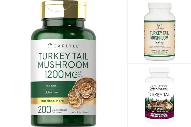 Detailed view of Best Turkey Tail Mushroom Supplement