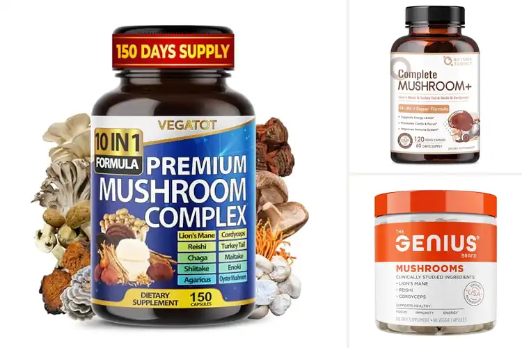 Detailed view of Best Vegan Mushroom Supplement
