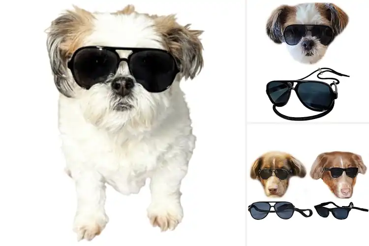 Detailed view of Best Vintage Dog Aviator Style