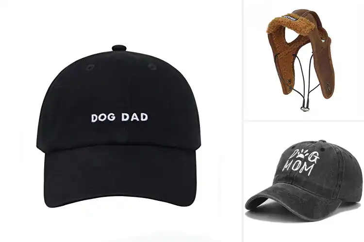 Detailed view of Best Vintage Dog Hat