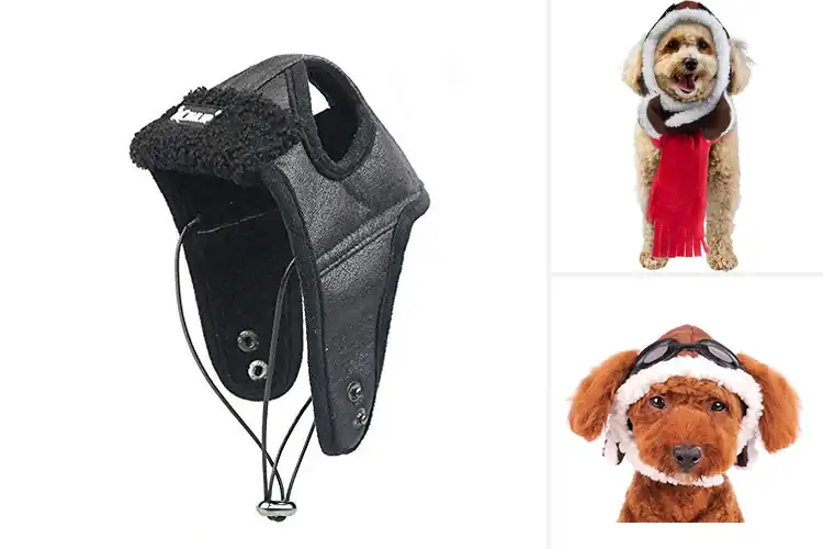 Detailed view of Best Vintage Fashion Dog Aviator Hat Design
