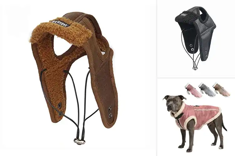 Detailed view of Best Vintage Fashion Dog Aviator Look