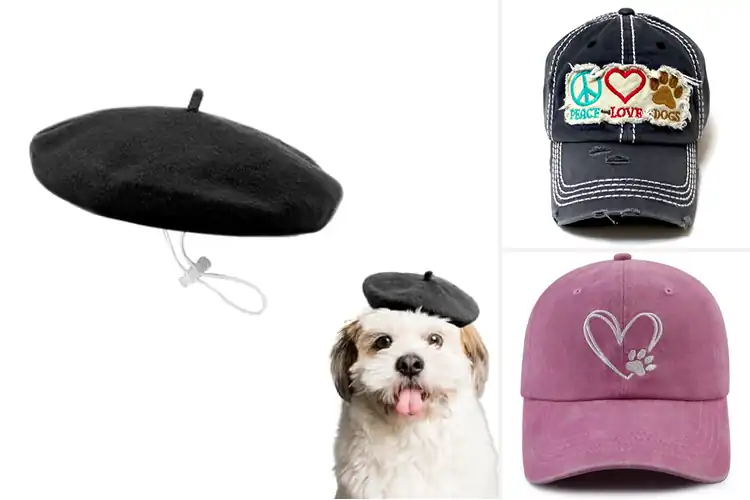 Detailed view of Best Vintage Fashion Dog Hat