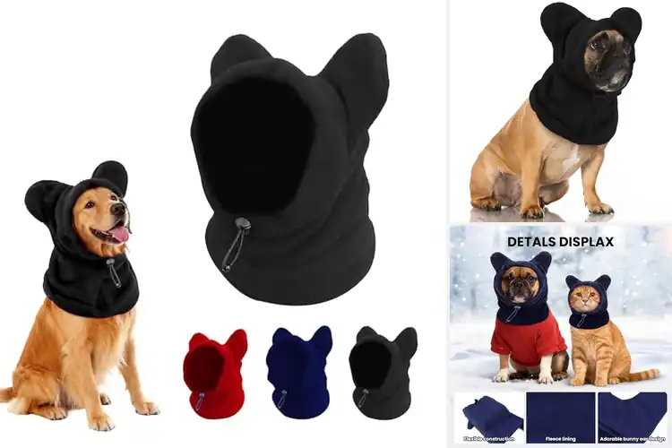 Detailed view of Best Warm Dog Hats: Cozy, Stylish Protection for Your Pet