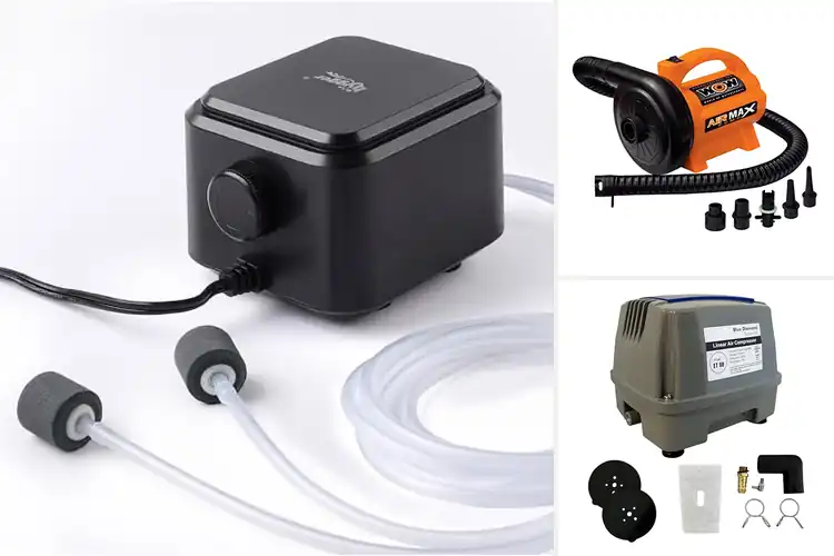 Detailed view of Best Water Free Air Pumps