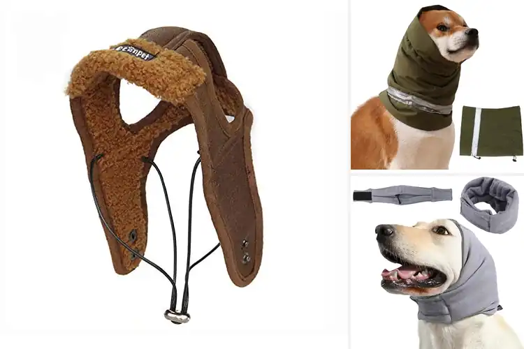 Detailed view of Best Windproof Dog Hat: Top 10 Picks for Warmth & Style