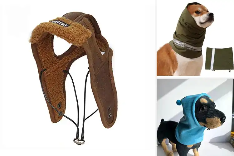 Detailed view of Best Windproof Dog Hats to Keep Your Pup Cozy & Protected