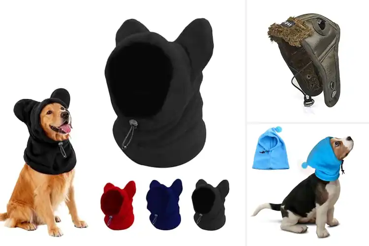 Detailed view of Best Windproof Dog Winter Hats