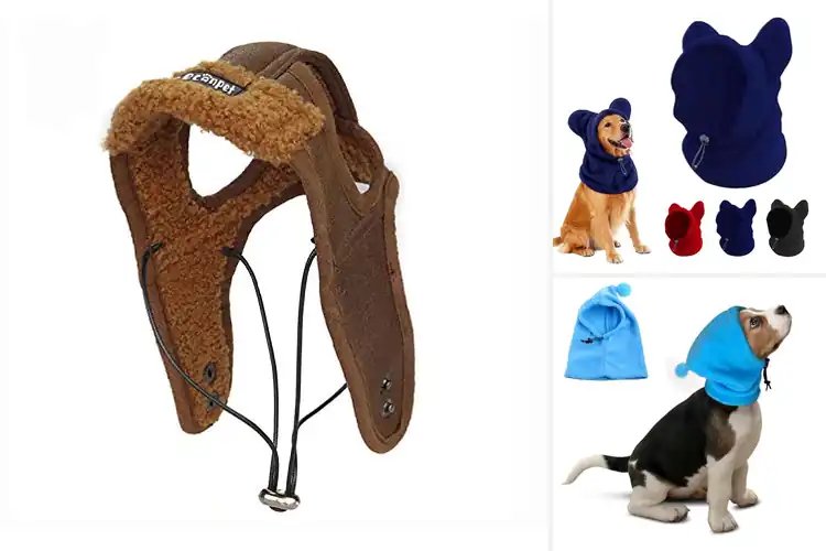 Detailed view of Best Windproof Winter Dog Hat: Top 10 Cozy & Stylish Picks