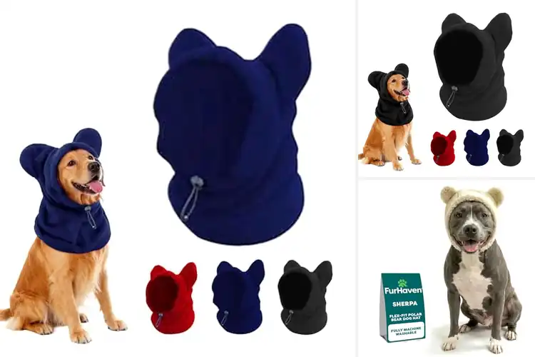 Detailed view of Best Winter Dog Hat: Cozy Canine Style for Cold Days